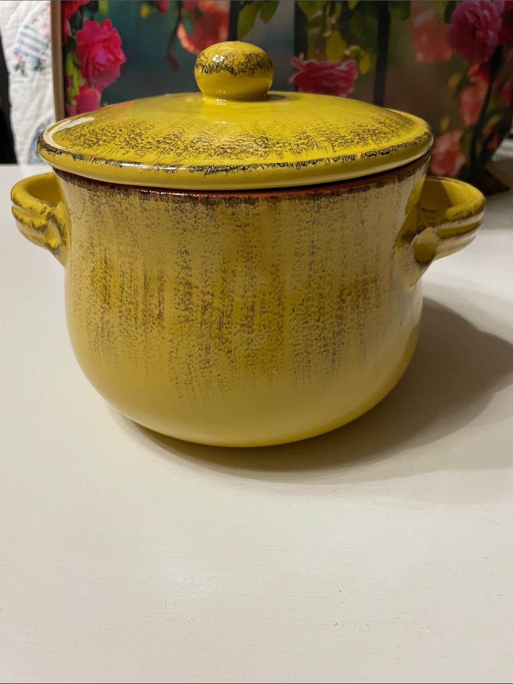 De Silva Terre D’Umbria made in Italy Terracotta Pot with lid
